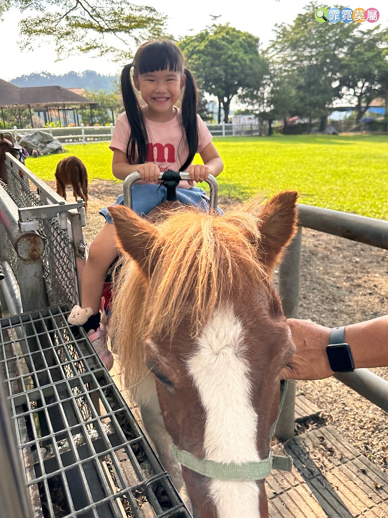 ★嘉義親子景點★ 獨角仙農場,可以釣螯蝦、玩滑草、搭小火車、 S__123346971_0
