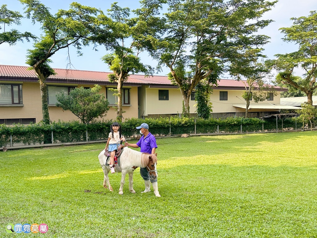 ★嘉義親子景點★ 獨角仙農場,可以釣螯蝦、玩滑草、搭小火車、 S__123346972_0