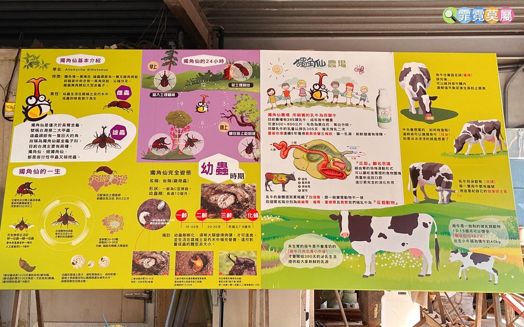 ★嘉義親子景點★ 獨角仙農場,可以釣螯蝦、玩滑草、搭小火車、 S__123346993_0