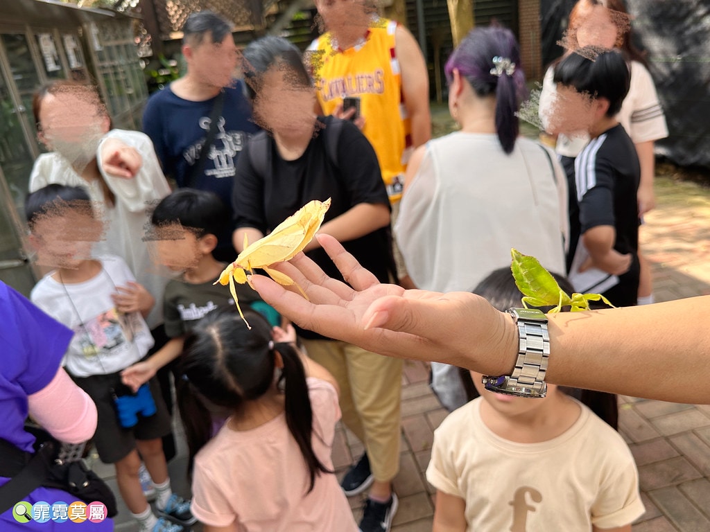 ★嘉義親子景點★ 獨角仙農場,可以釣螯蝦、玩滑草、搭小火車、 S__123346985_0
