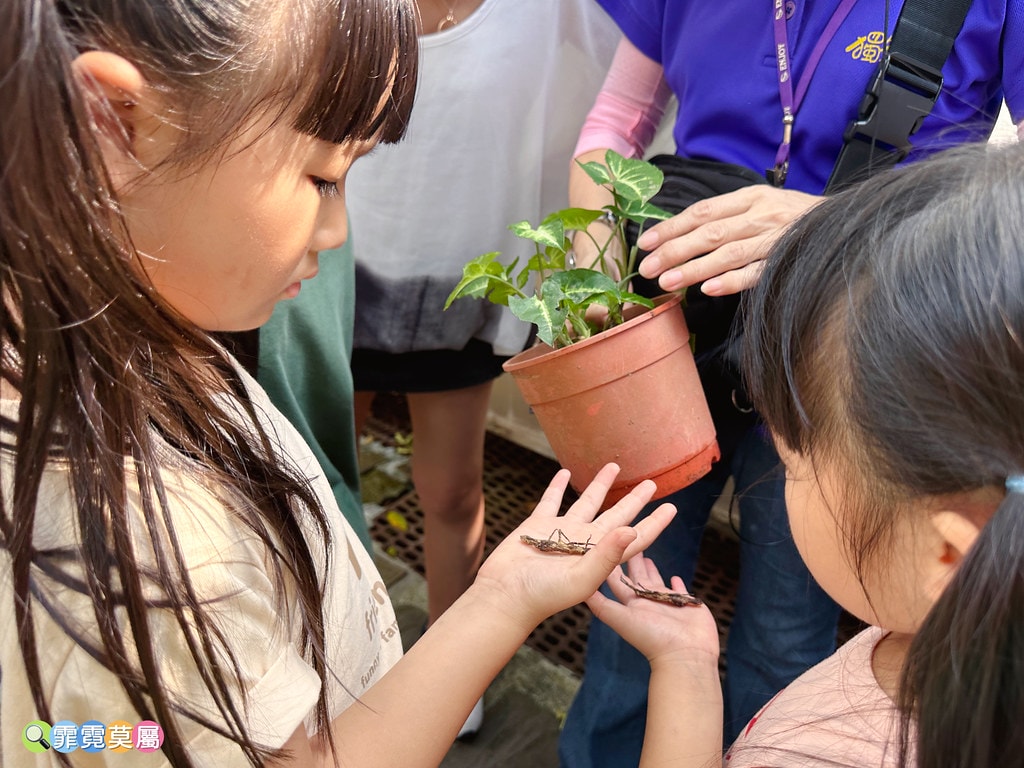 ★嘉義親子景點★ 獨角仙農場,可以釣螯蝦、玩滑草、搭小火車、 S__123346986_0