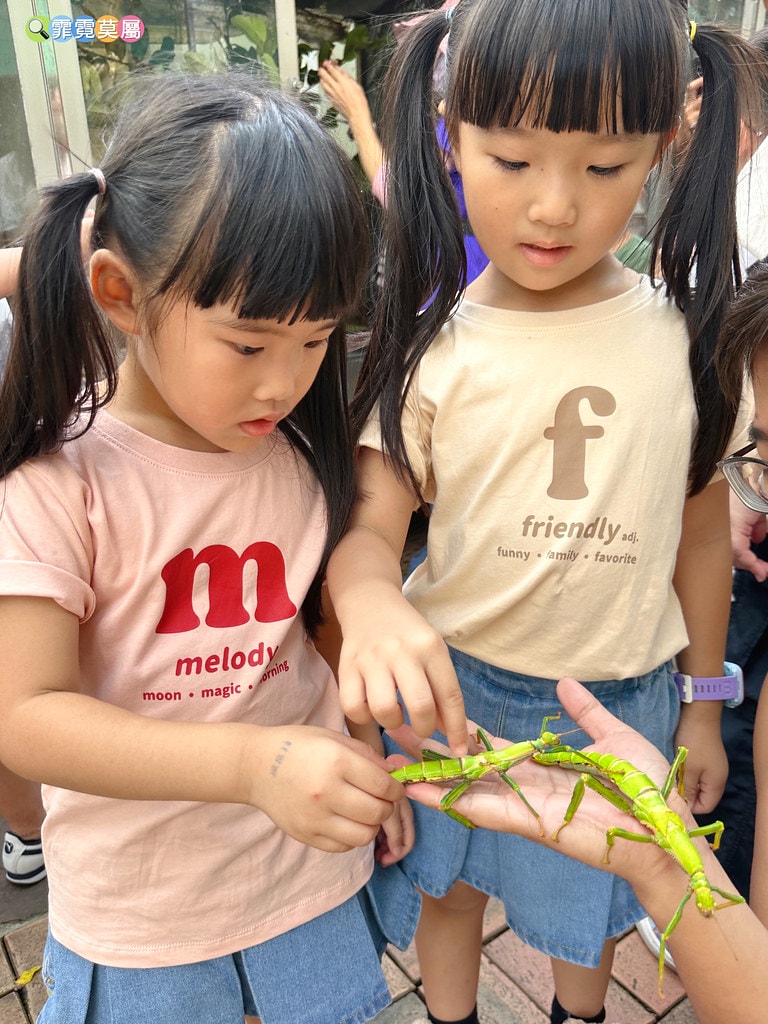 ★嘉義親子景點★ 獨角仙農場,可以釣螯蝦、玩滑草、搭小火車、 S__123346983_0