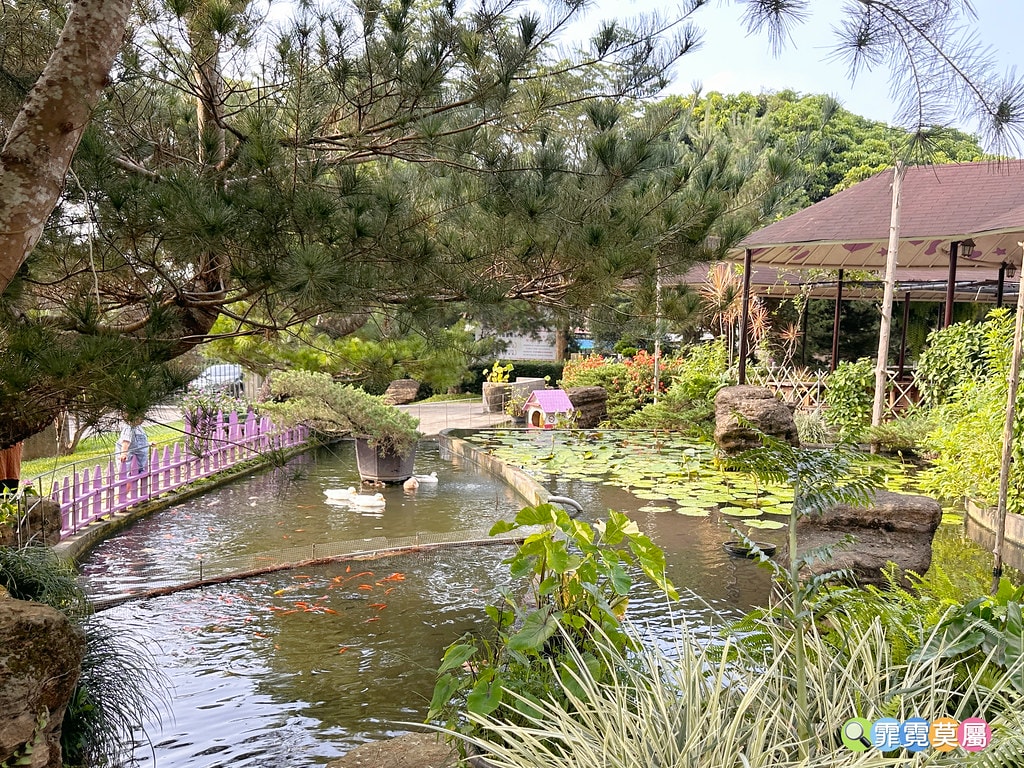 ★嘉義親子景點★ 獨角仙農場,可以釣螯蝦、玩滑草、搭小火車、 S__123346970_0