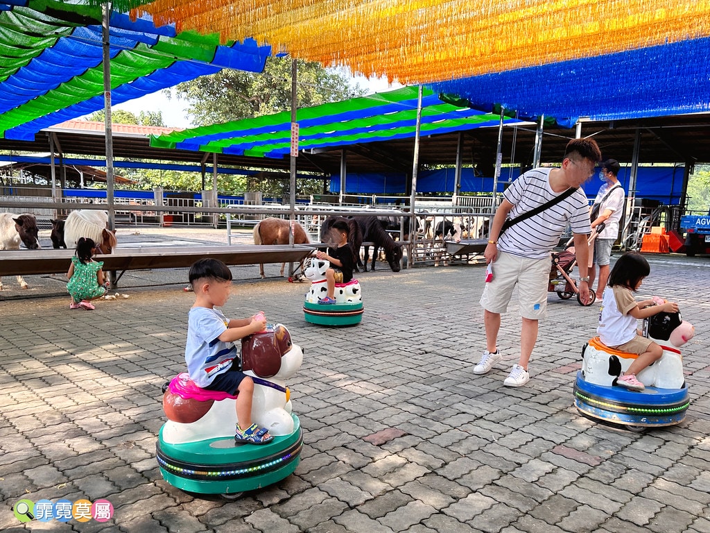 ★嘉義親子景點★ 獨角仙農場,可以釣螯蝦、玩滑草、搭小火車、 S__123346994_0