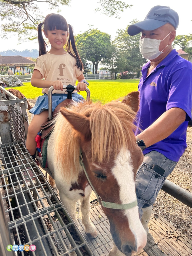 ★嘉義親子景點★ 獨角仙農場,可以釣螯蝦、玩滑草、搭小火車、 S__123346973_0