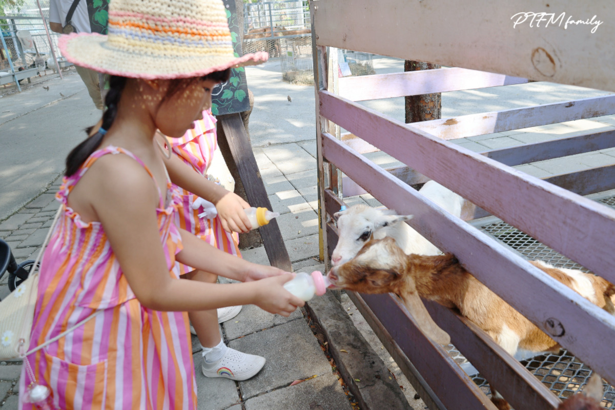 ★台南親子景點★ 樹谷農場，銅板價格玩農場互動，台南一日遊推薦