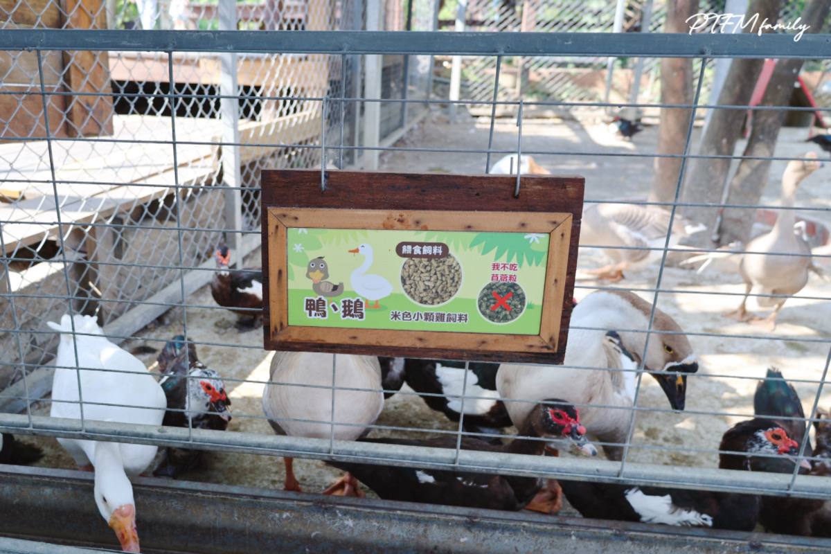 ★台南親子景點★ 樹谷農場，銅板價格玩農場互動，台南一日遊推薦