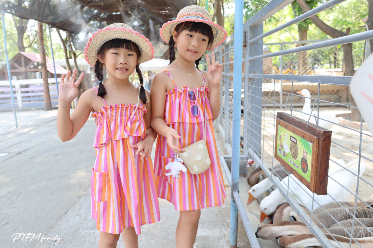 ★台南親子景點★ 樹谷農場，銅板價格玩農場互動，台南一日遊推薦