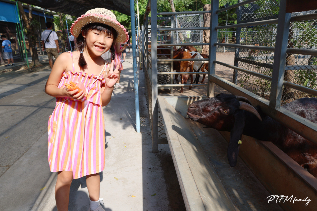 ★台南親子景點★ 樹谷農場，銅板價格玩農場互動，台南一日遊推薦