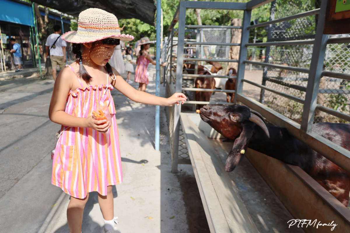★台南親子景點★ 樹谷農場，銅板價格玩農場互動，台南一日遊推薦