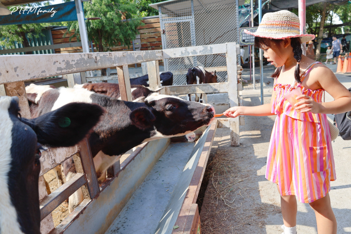 ★台南親子景點★ 樹谷農場，銅板價格玩農場互動，台南一日遊推薦