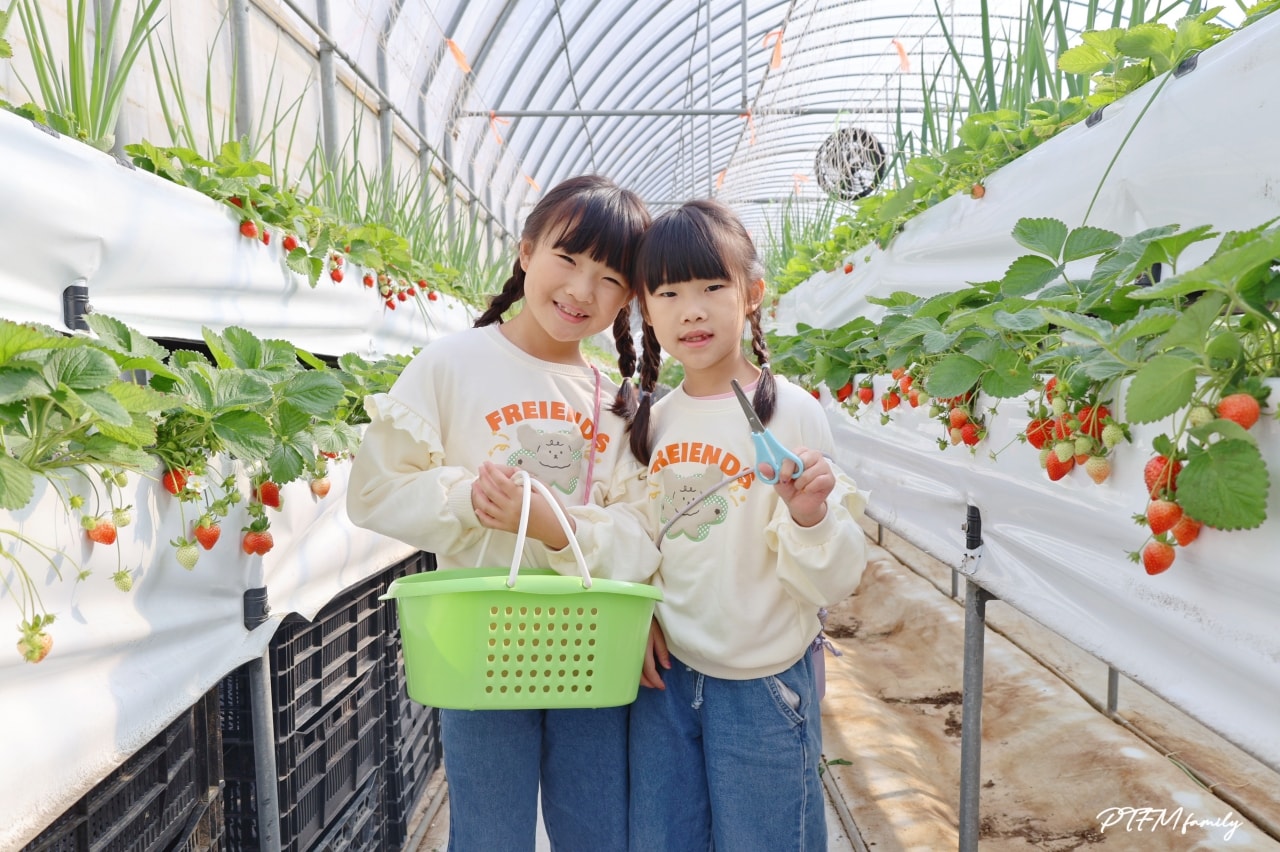 桃園親子景點|桃園青青草莓蔬果農場,免門票入場可以採草莓、DIY活動-草莓麵條、拔絲糖葫蘆和動物互動 - 第3張圖 桃園親子景點|桃園青青草莓蔬果農場,免門票入場可以採草莓、DIY活動-草莓麵條、拔絲糖葫蘆和動物互動
