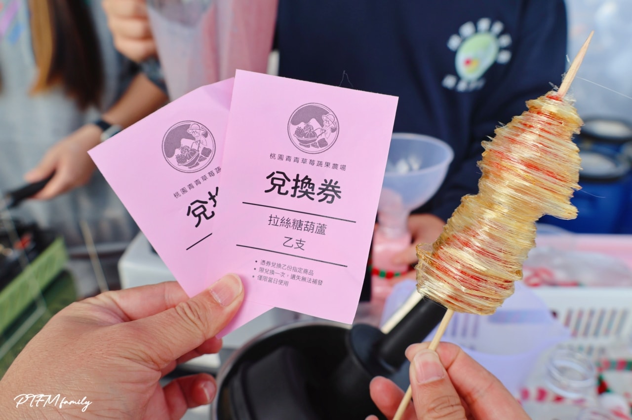 桃園親子景點|桃園青青草莓蔬果農場,免門票入場可以採草莓、DIY活動-草莓麵條、拔絲糖葫蘆和動物互動 - 第18張圖 桃園親子景點|桃園青青草莓蔬果農場,免門票入場可以採草莓、DIY活動-草莓麵條、拔絲糖葫蘆和動物互動