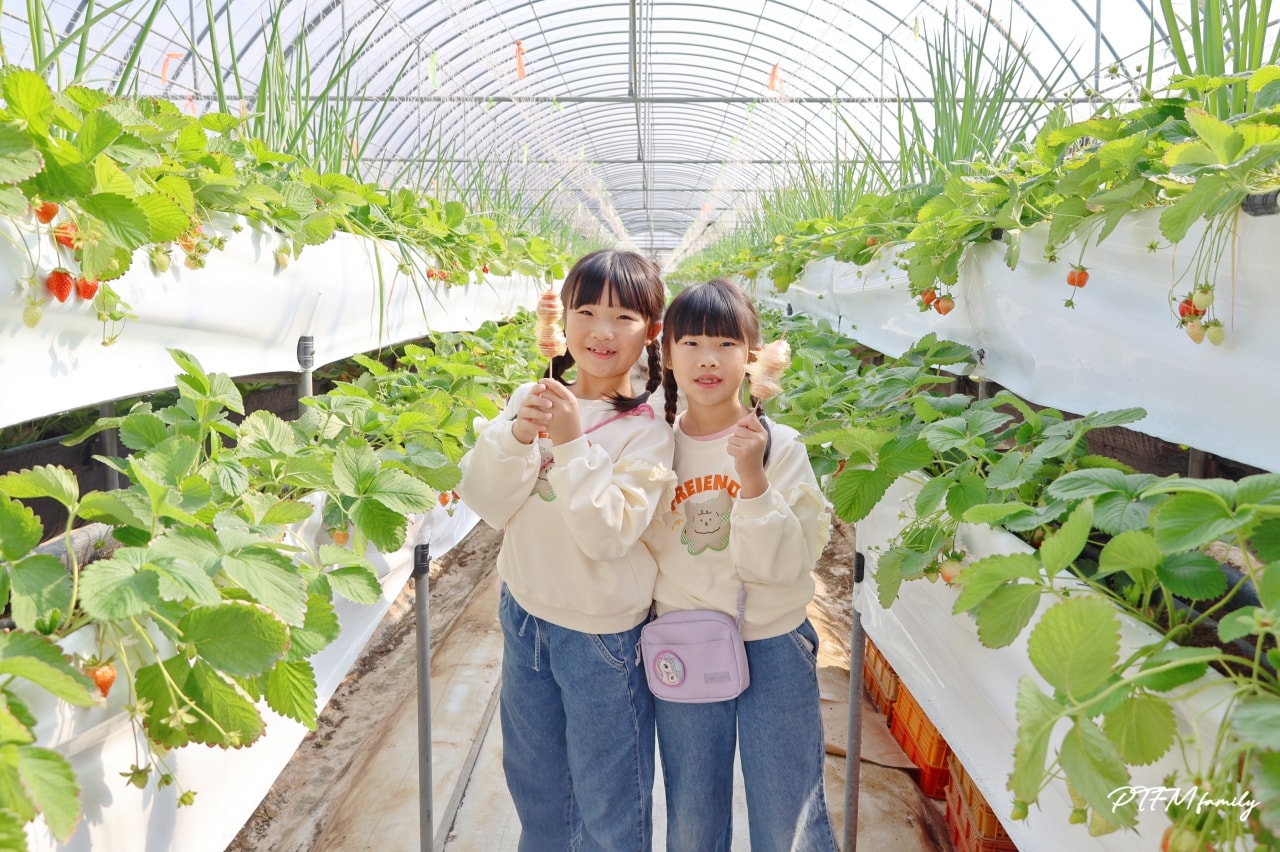 桃園親子景點|桃園青青草莓蔬果農場,免門票入場可以採草莓、DIY活動-草莓麵條、拔絲糖葫蘆和動物互動 - 第15張圖 桃園親子景點|桃園青青草莓蔬果農場,免門票入場可以採草莓、DIY活動-草莓麵條、拔絲糖葫蘆和動物互動