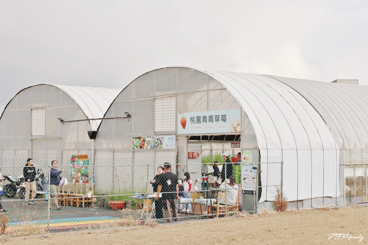 桃園親子景點|桃園青青草莓蔬果農場,免門票入場可以採草莓、DIY活動-草莓麵條、拔絲糖葫蘆和動物互動 - 第6張圖 桃園親子景點|桃園青青草莓蔬果農場,免門票入場可以採草莓、DIY活動-草莓麵條、拔絲糖葫蘆和動物互動
