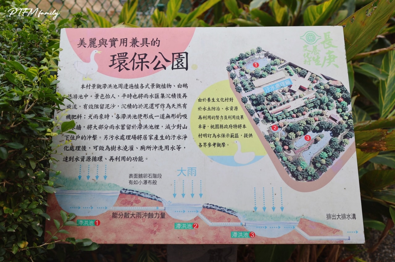 桃園最新景點｜長庚養生文化村，期間限定絕美夢幻湖景的落雨松免費景點