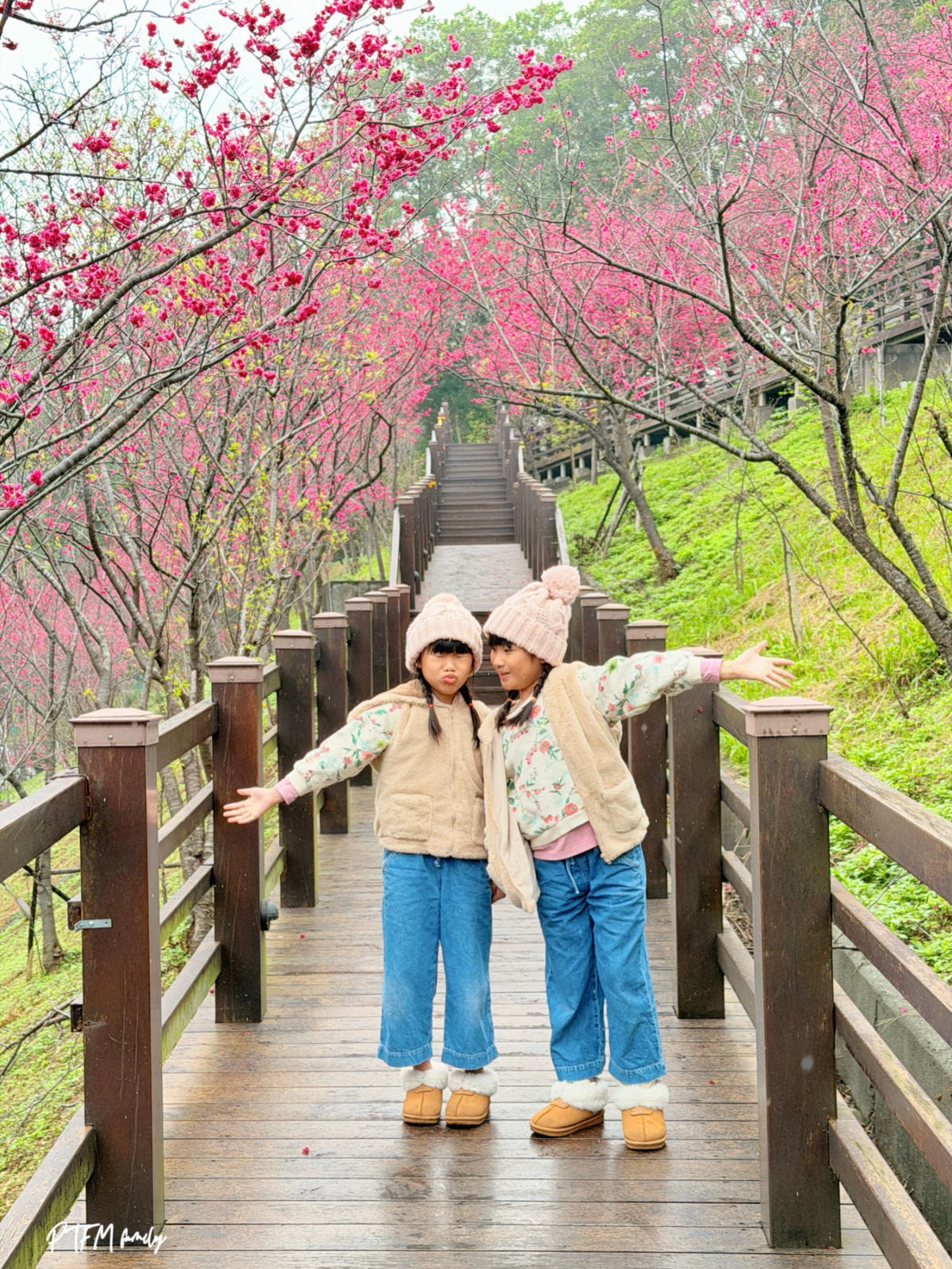 桃園賞櫻景點｜長庚養生文化村，桃園免費賞櫻秘境八重櫻滿開中，2026賞櫻景點推薦
