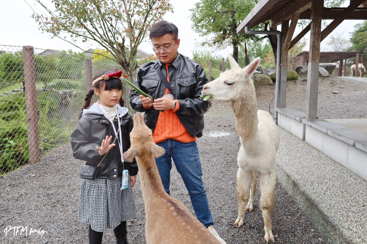 ★宜蘭住宿推薦★ 綠舞國際觀光飯店，全台唯一日式庭園和豐富農場結合的親子住宿