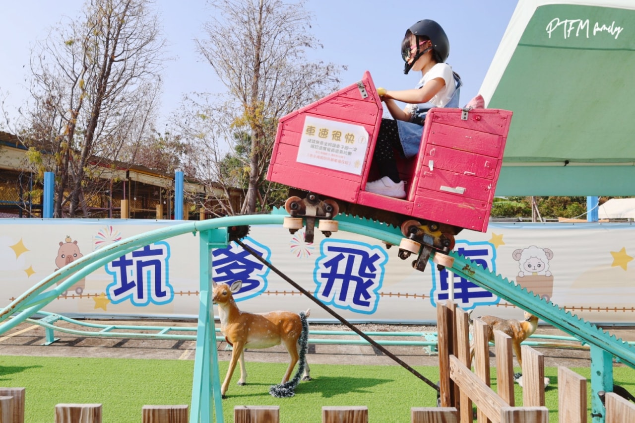 嘉義親子景點｜萌寵村親子樂園，豐富的動物互動玩人力飛車、海盜村還有手搖船可以划