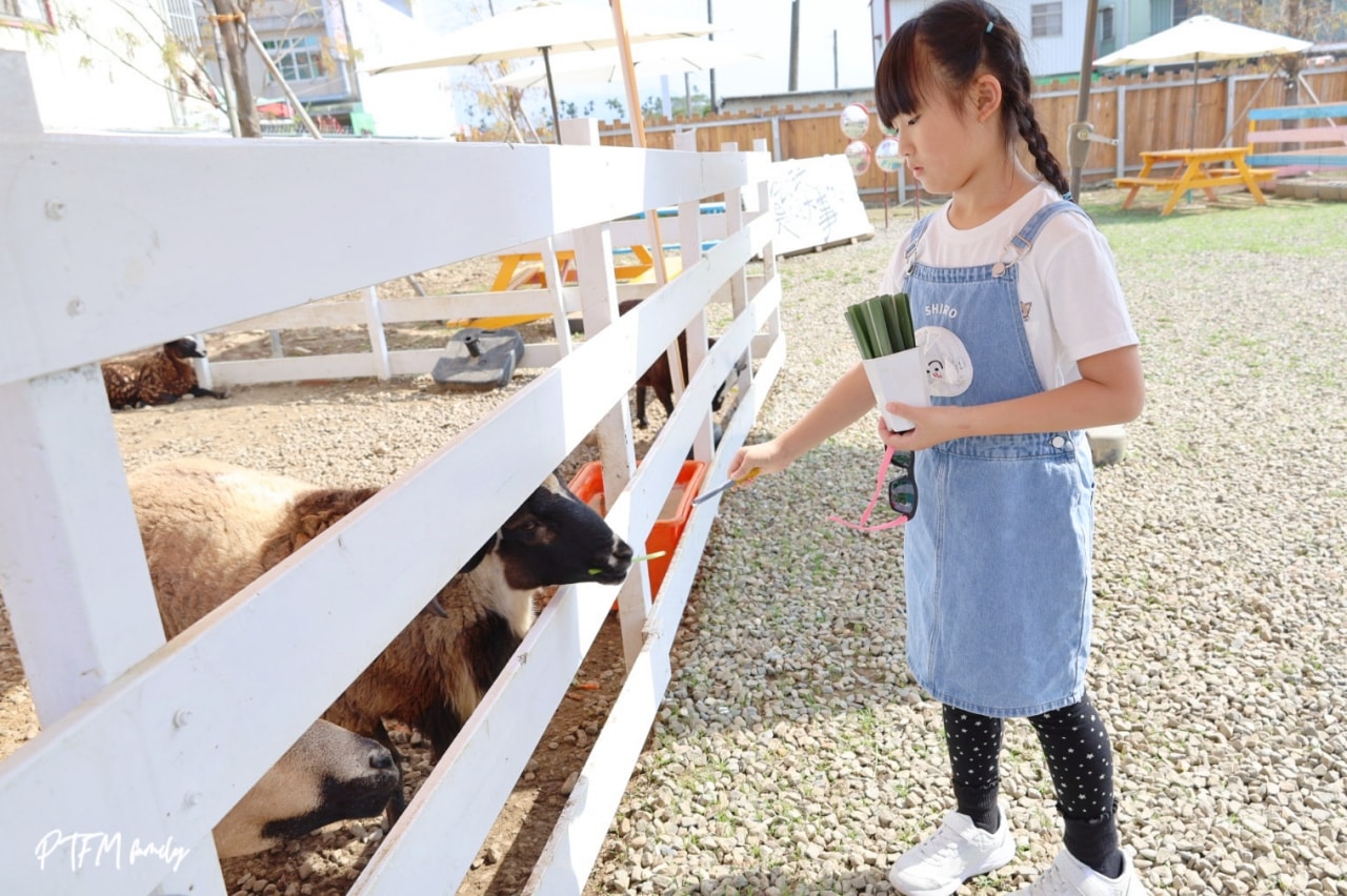 嘉義親子景點｜萌寵村親子樂園，豐富的動物互動玩人力飛車、海盜村還有手搖船可以划
