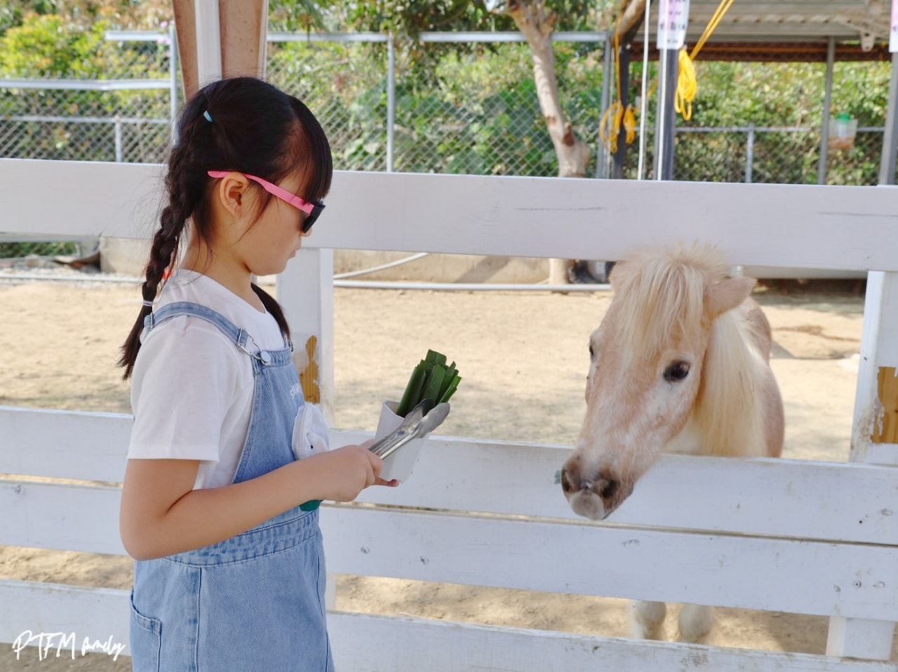嘉義親子景點｜萌寵村親子樂園，豐富的動物互動玩人力飛車、海盜村還有手搖船可以划