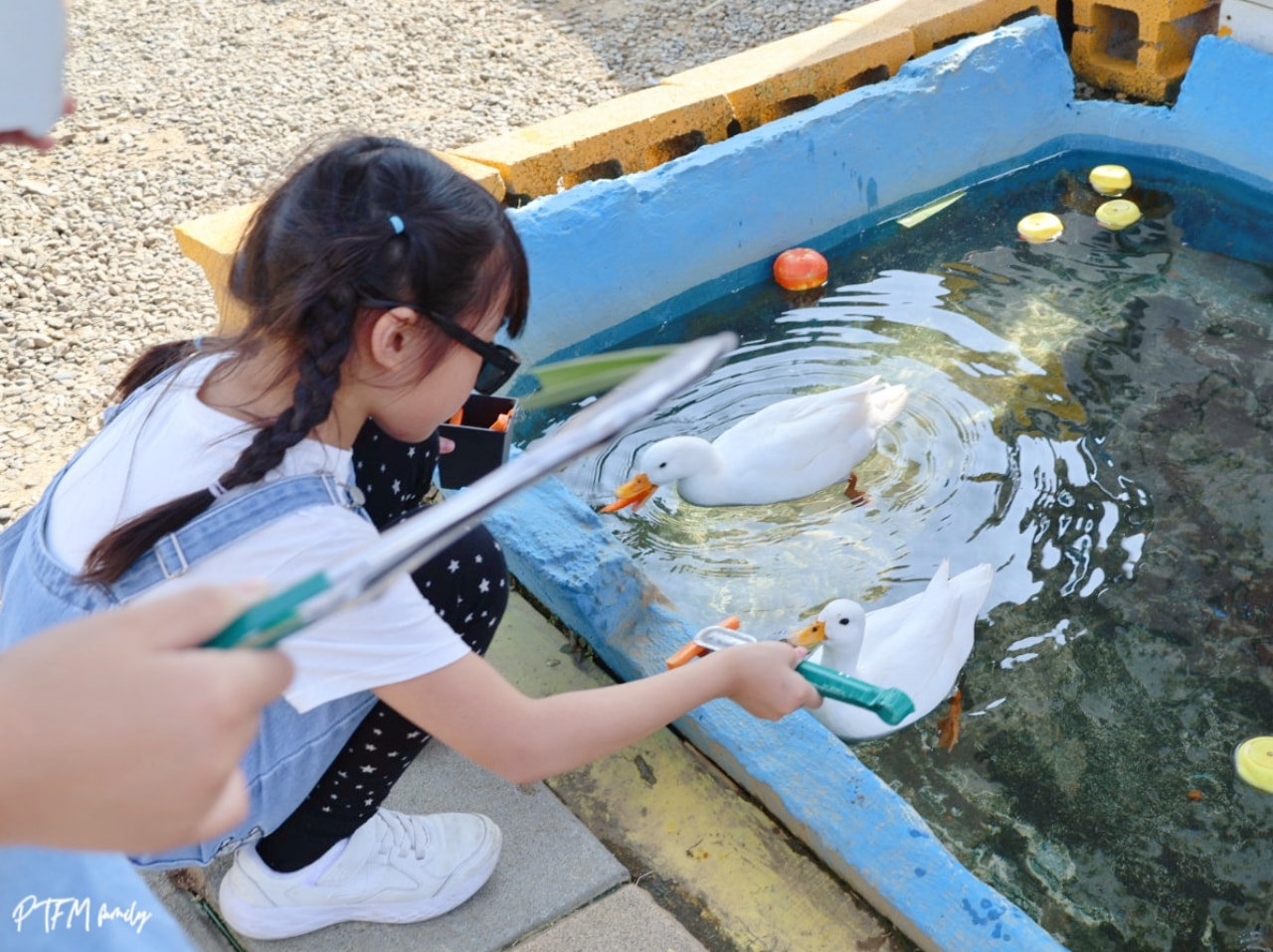 嘉義親子景點｜萌寵村親子樂園，豐富的動物互動玩人力飛車、海盜村還有手搖船可以划