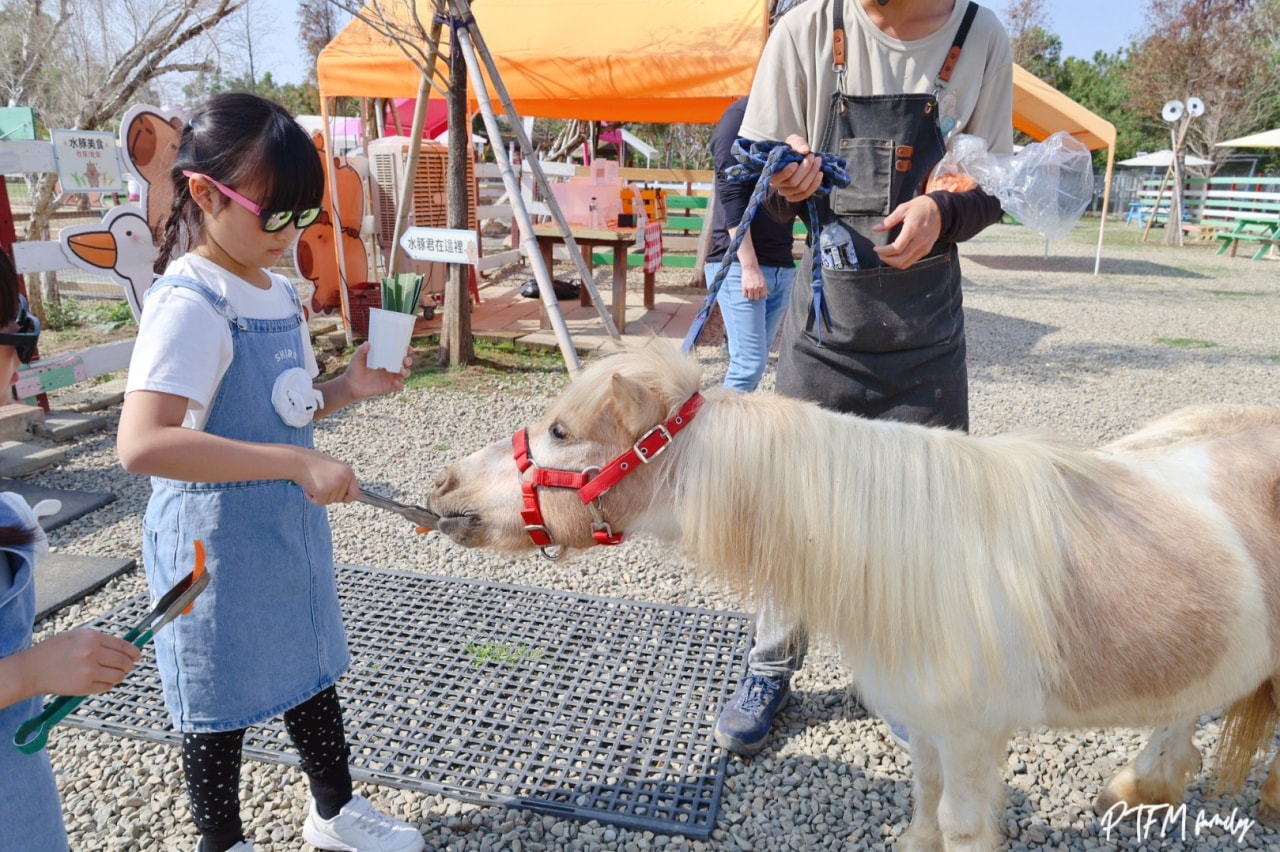 嘉義親子景點｜萌寵村親子樂園，豐富的動物互動玩人力飛車、海盜村還有手搖船可以划