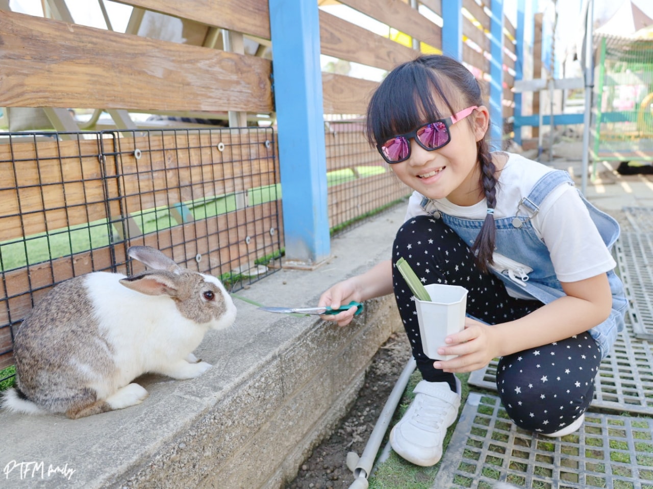 嘉義親子景點｜萌寵村親子樂園，豐富的動物互動玩人力飛車、海盜村還有手搖船可以划