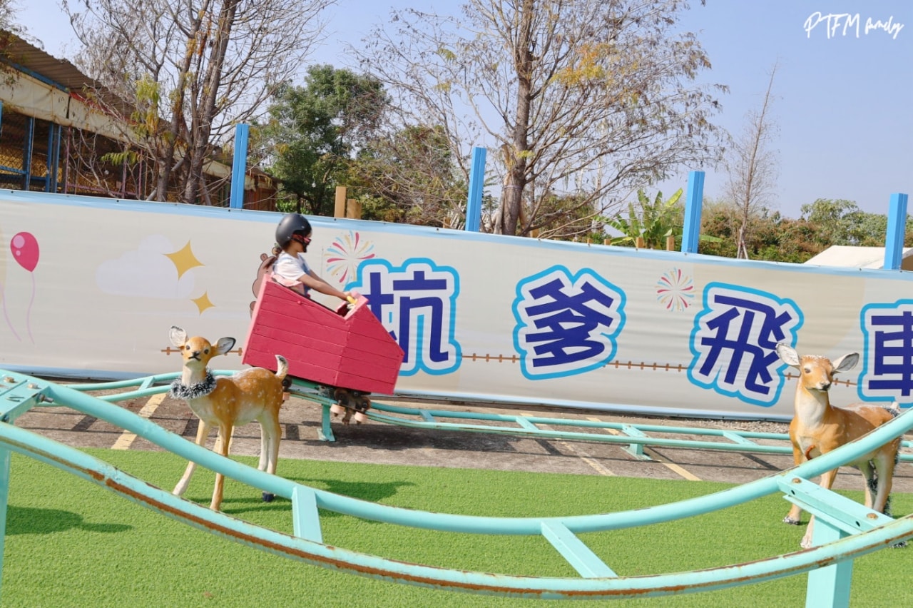 嘉義親子景點｜萌寵村親子樂園，豐富的動物互動玩人力飛車、海盜村還有手搖船可以划