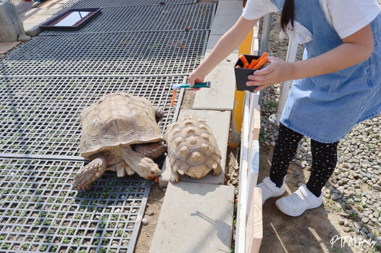 嘉義親子景點｜萌寵村親子樂園，豐富的動物互動玩人力飛車、海盜村還有手搖船可以划