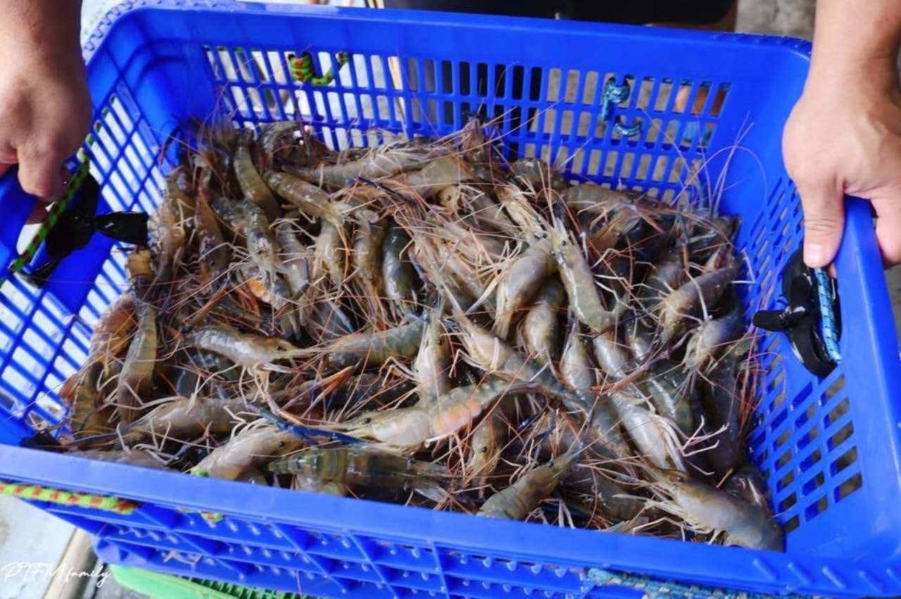 ★宜蘭親子景點★ 蘭陽蟹莊,超好釣的高人氣親子釣蝦場 google評價4.3顆星,晴雨天都適合的有吃有玩一日遊景點 - 第8張圖 ★宜蘭親子景點★ 蘭陽蟹莊,超好釣的高人氣親子釣蝦場 google評價4.3顆星,晴雨天都適合的有吃有玩一日遊景點