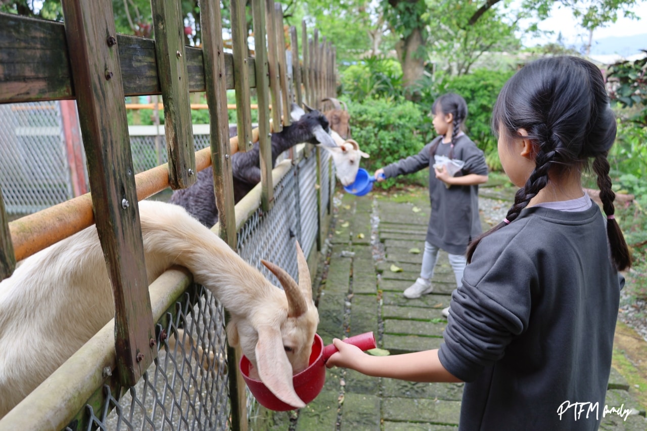★宜蘭親子景點★ 廣興農場鴨母寮豬哥窟，玩控窯、摸蜆兼洗褲、餵食動物，還有許多免費玩的復古童玩，很適合宜蘭一日遊安排