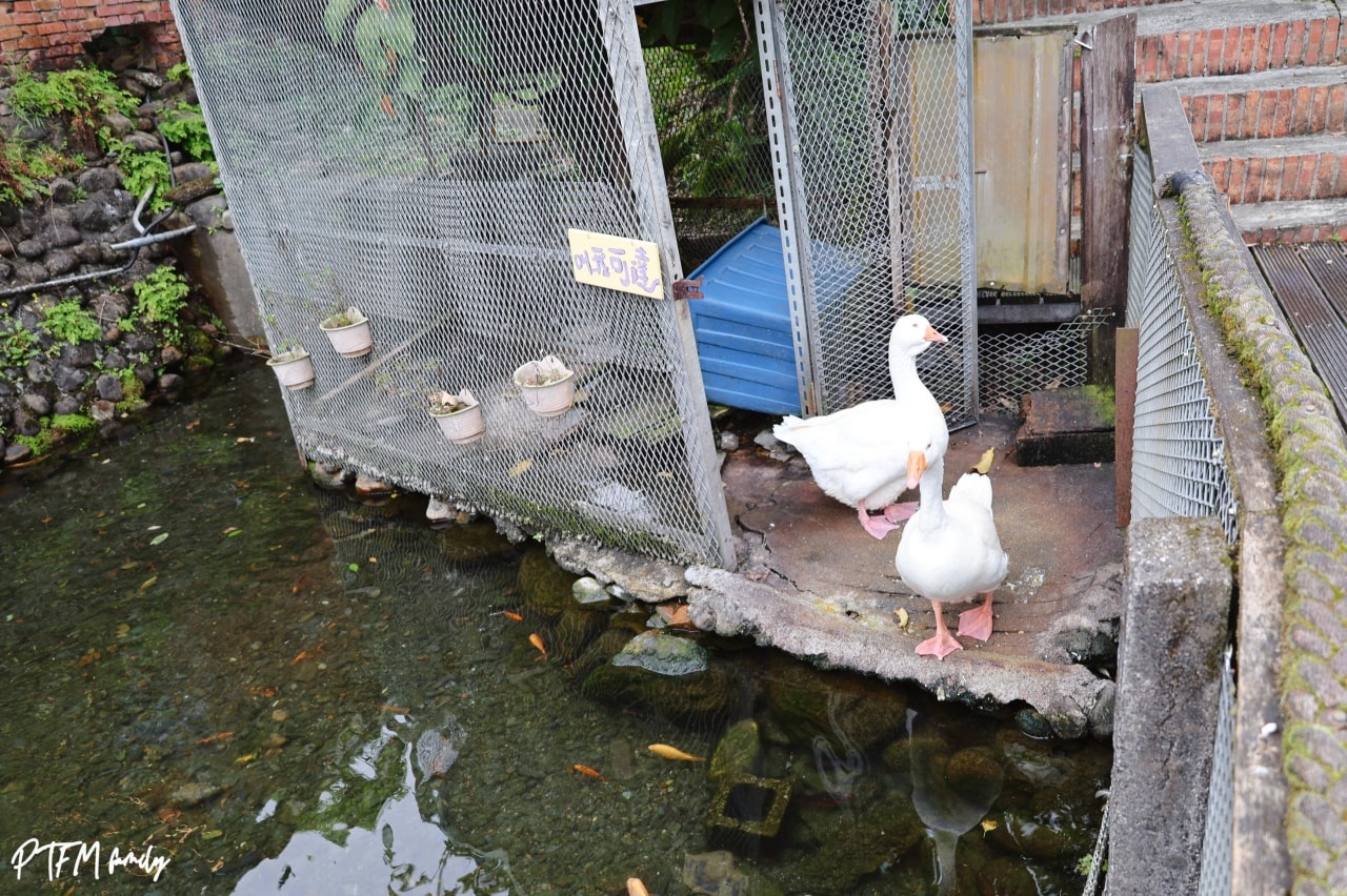 ★宜蘭親子景點★ 廣興農場鴨母寮豬哥窟，玩控窯、摸蜆兼洗褲、餵食動物，還有許多免費玩的復古童玩，很適合宜蘭一日遊安排