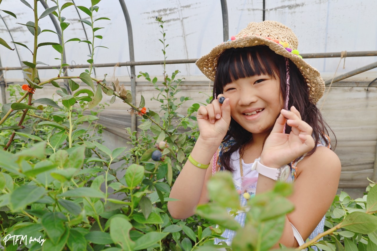 桃園親子景點|藍莓果果,北部最大藍莓種植農場,免門票期間限定採藍莓,桃園最新農場一日遊 - 第17張圖 桃園親子景點|藍莓果果,北部最大藍莓種植農場,免門票期間限定採藍莓,桃園最新農場一日遊