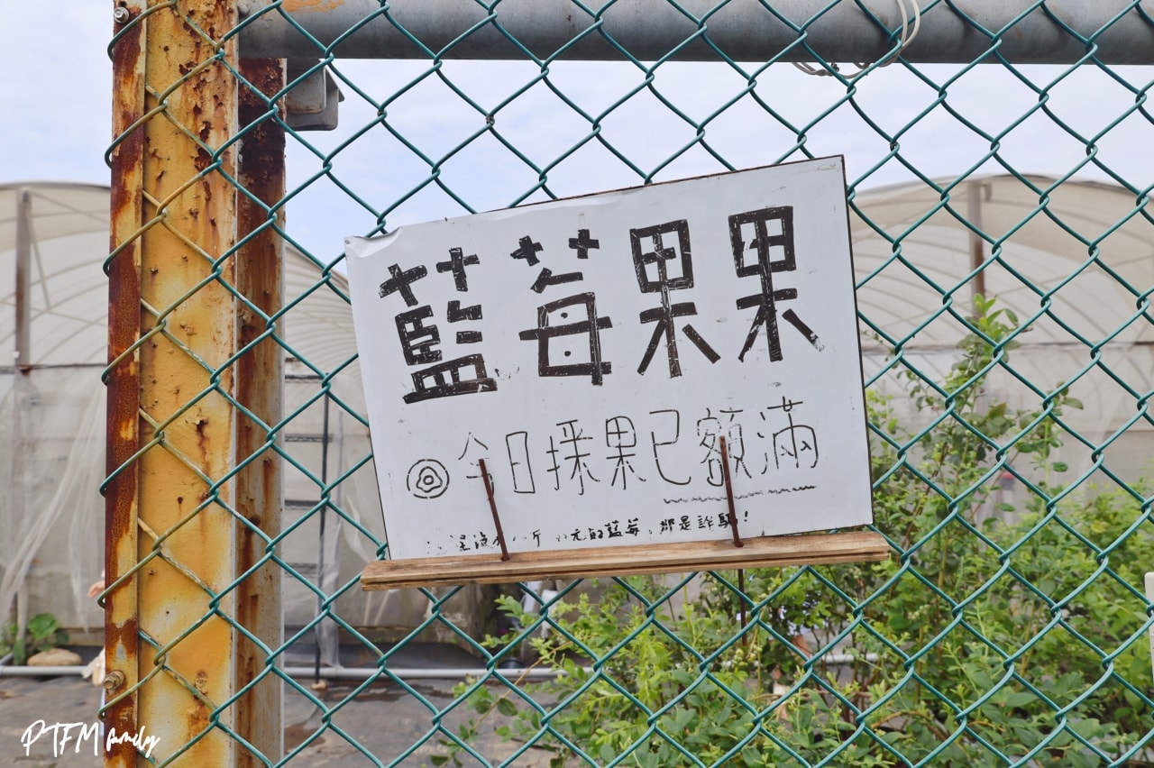 桃園親子景點|藍莓果果,北部最大藍莓種植農場,免門票期間限定採藍莓,桃園最新農場一日遊 - 第5張圖 桃園親子景點|藍莓果果,北部最大藍莓種植農場,免門票期間限定採藍莓,桃園最新農場一日遊