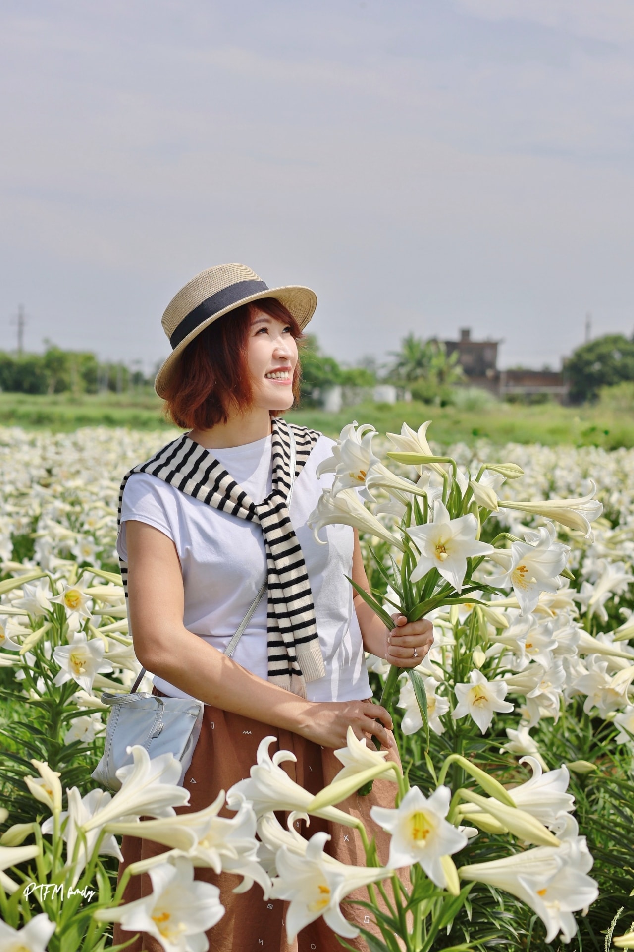 桃園賞花景點｜白千層鐵砲百合花園，期間限定花期只有三週，白色浪漫百合花滿開中預計到母親節
