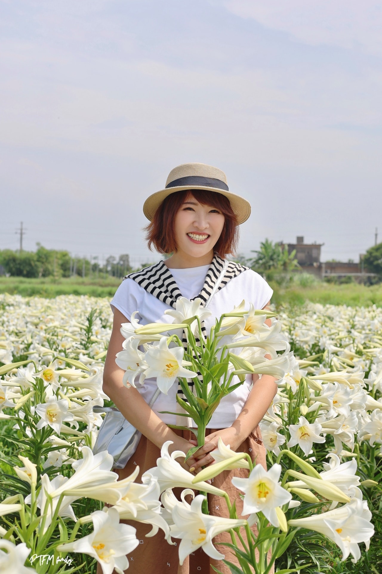 桃園賞花景點｜白千層鐵砲百合花園，期間限定花期只有三週，白色浪漫百合花滿開中預計到母親節