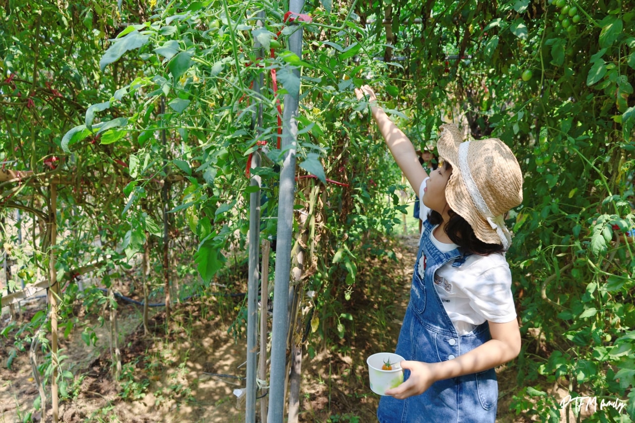 ★屏東親子住宿推薦★ 墾丁悠活度假村，全包式渡假村彷彿來到水樂園親子旅遊一站玩的好選擇(已結團)