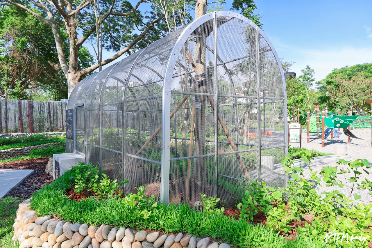 ★台中最新景點★ 東勢獨角仙生態公園,全台唯一的獨角仙公園,以獨角仙為主題打造2大主題遊戲空間設有戲水區,鄰近東勢客家文化園區和東豐自行車道 - 第42張圖 ★台中最新景點★ 東勢獨角仙生態公園,全台唯一的獨角仙公園,以獨角仙為主題打造2大主題遊戲空間設有戲水區,鄰近東勢客家文化園區和東豐自行車道