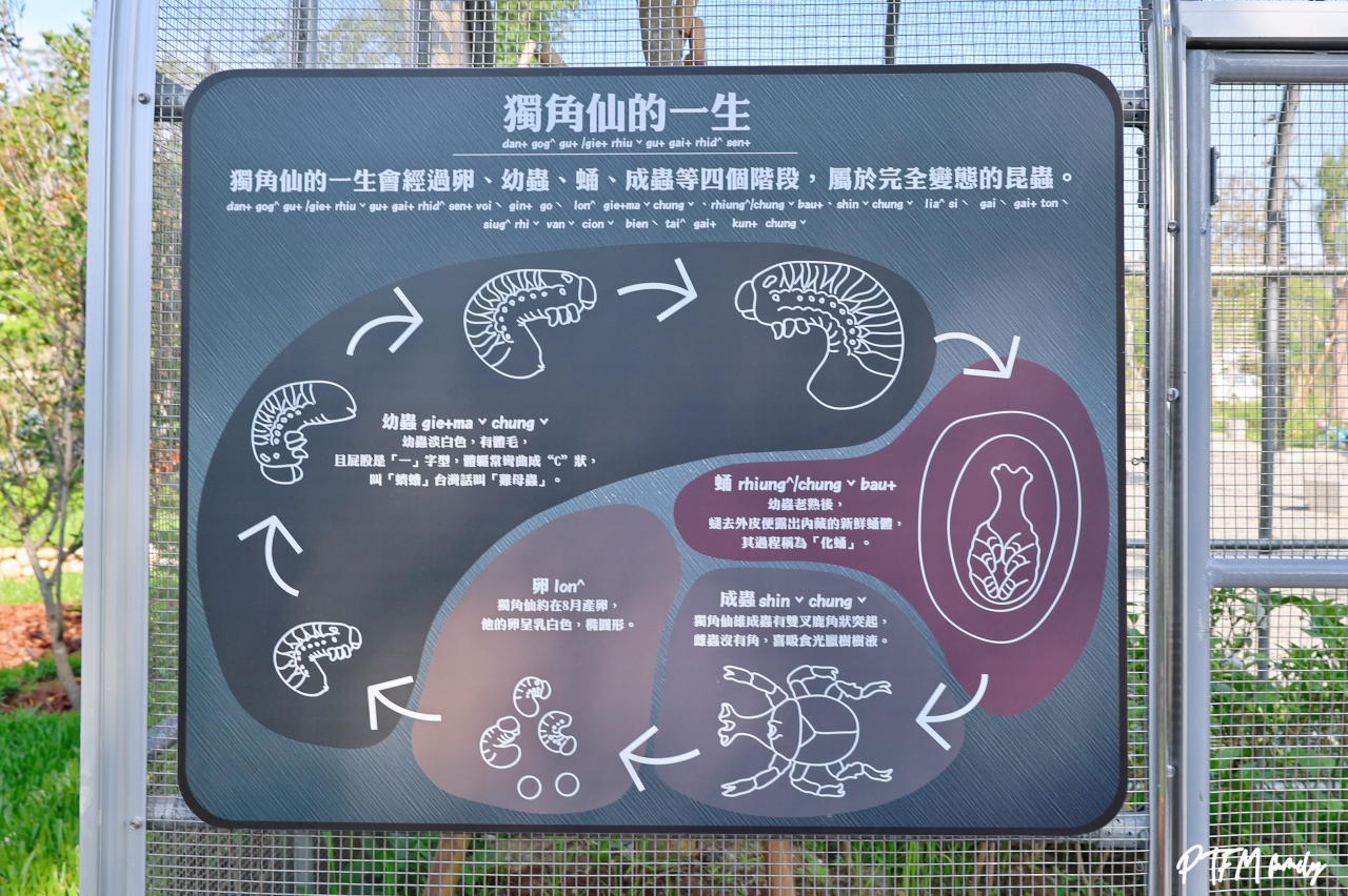★台中最新景點★ 東勢獨角仙生態公園,全台唯一的獨角仙公園,以獨角仙為主題打造2大主題遊戲空間設有戲水區,鄰近東勢客家文化園區和東豐自行車道 - 第41張圖 ★台中最新景點★ 東勢獨角仙生態公園,全台唯一的獨角仙公園,以獨角仙為主題打造2大主題遊戲空間設有戲水區,鄰近東勢客家文化園區和東豐自行車道