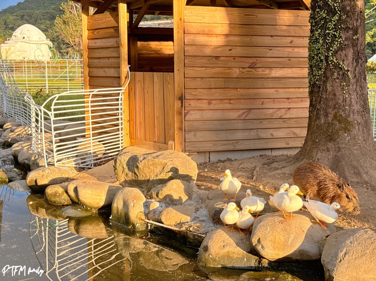 新北玩水景點｜亮山川Lands & Stream Resort Park，萬里一日遊玩水景點，有戲水池、烤肉、動物和生態藝術造景
