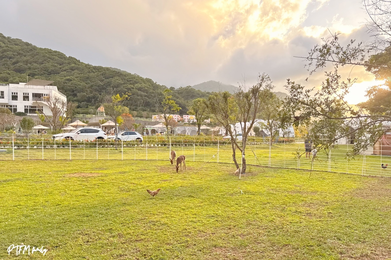 新北玩水景點｜亮山川Lands & Stream Resort Park，萬里一日遊玩水景點，有戲水池、烤肉、動物和生態藝術造景