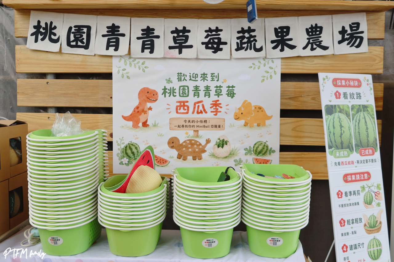 桃園親子景點|桃園青青草莓蔬果農場,免門票入場小西瓜開採了,記得一定要先預約才能採果 - 第4張圖 桃園親子景點|桃園青青草莓蔬果農場,免門票入場小西瓜開採了,記得一定要先預約才能採果