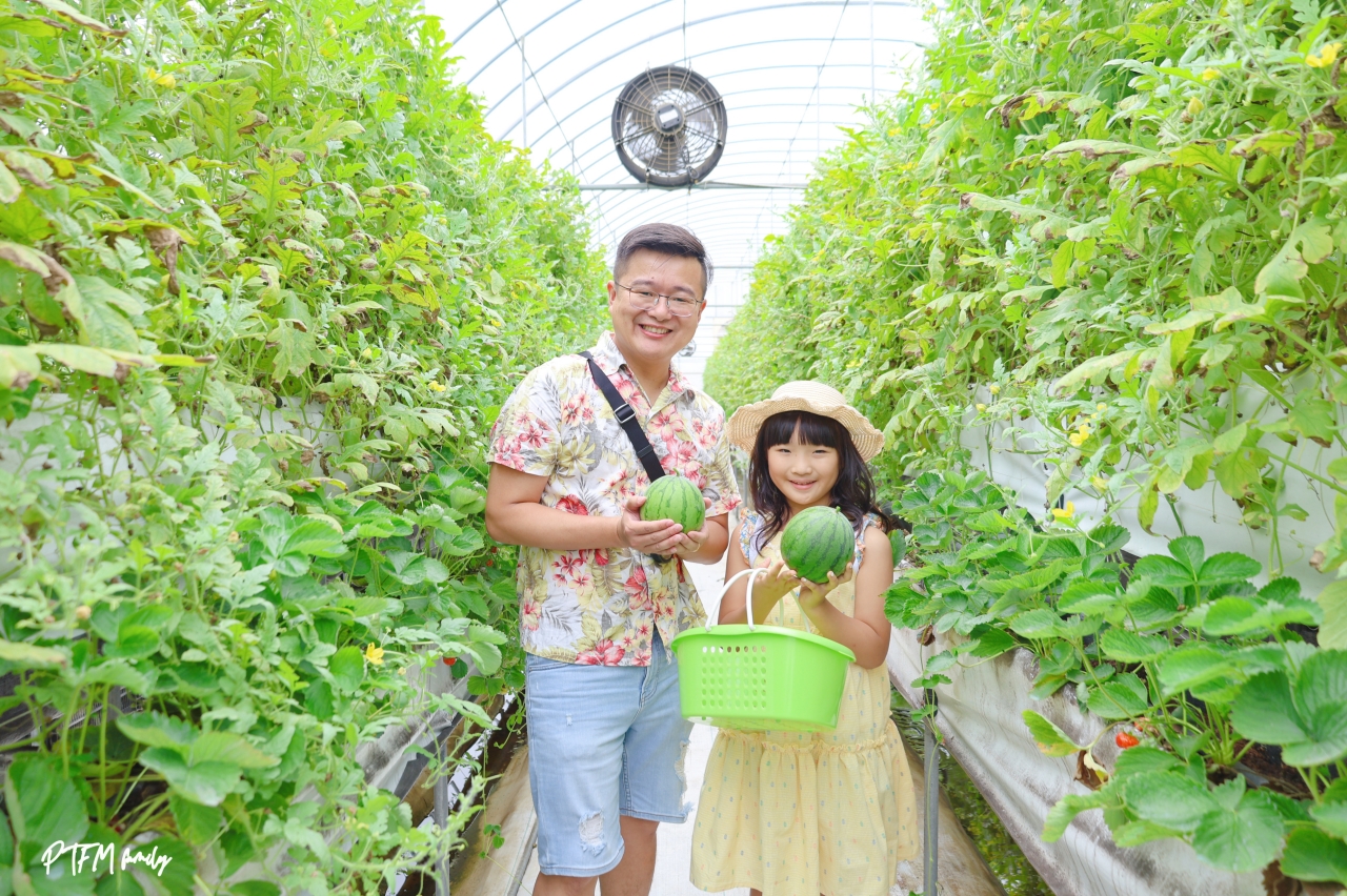 桃園親子景點|桃園青青草莓蔬果農場,免門票入場小西瓜開採了,記得一定要先預約才能採果 - 第2張圖 桃園親子景點|桃園青青草莓蔬果農場,免門票入場小西瓜開採了,記得一定要先預約才能採果