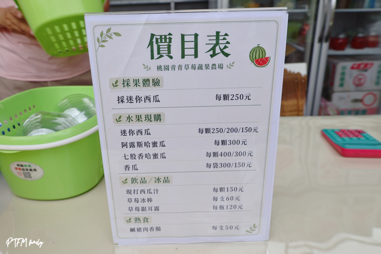 桃園親子景點|桃園青青草莓蔬果農場,免門票入場小西瓜開採了,記得一定要先預約才能採果 - 第11張圖 桃園親子景點|桃園青青草莓蔬果農場,免門票入場小西瓜開採了,記得一定要先預約才能採果