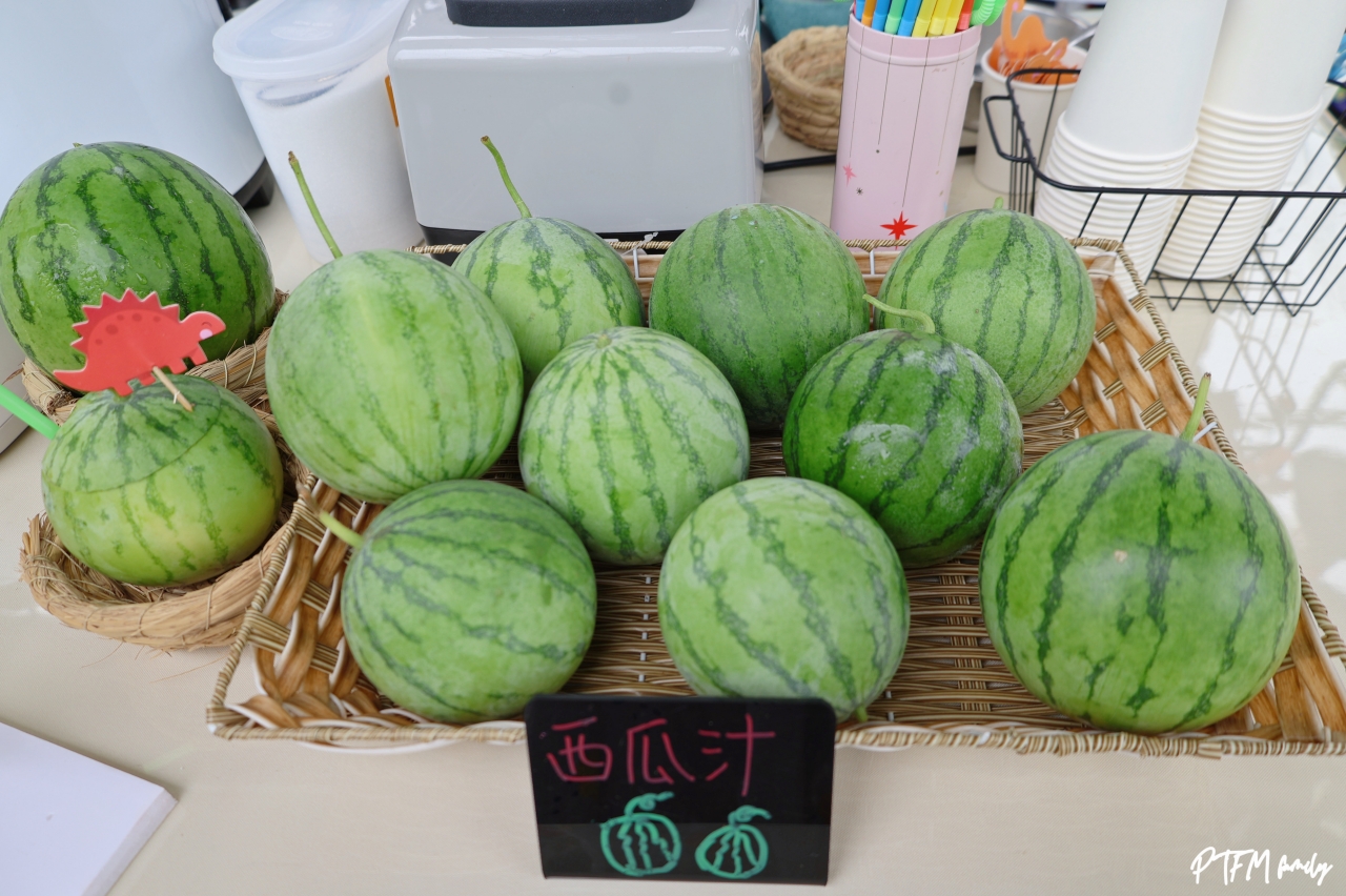 桃園親子景點｜桃園青青草莓蔬果農場，免門票入場小西瓜開採了，記得一定要先預約才能採果