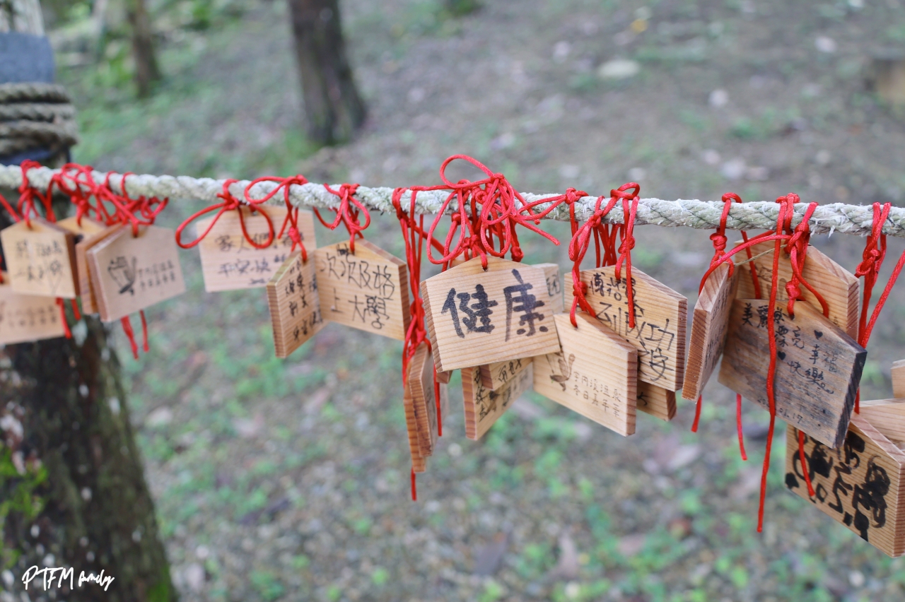 桃園親子景點｜宇內溪戲水區，50元銅板價合法開放的溪流玩水點還有野溪溫泉可以泡(有救生員和盥洗室)，桃園玩水一日遊推薦