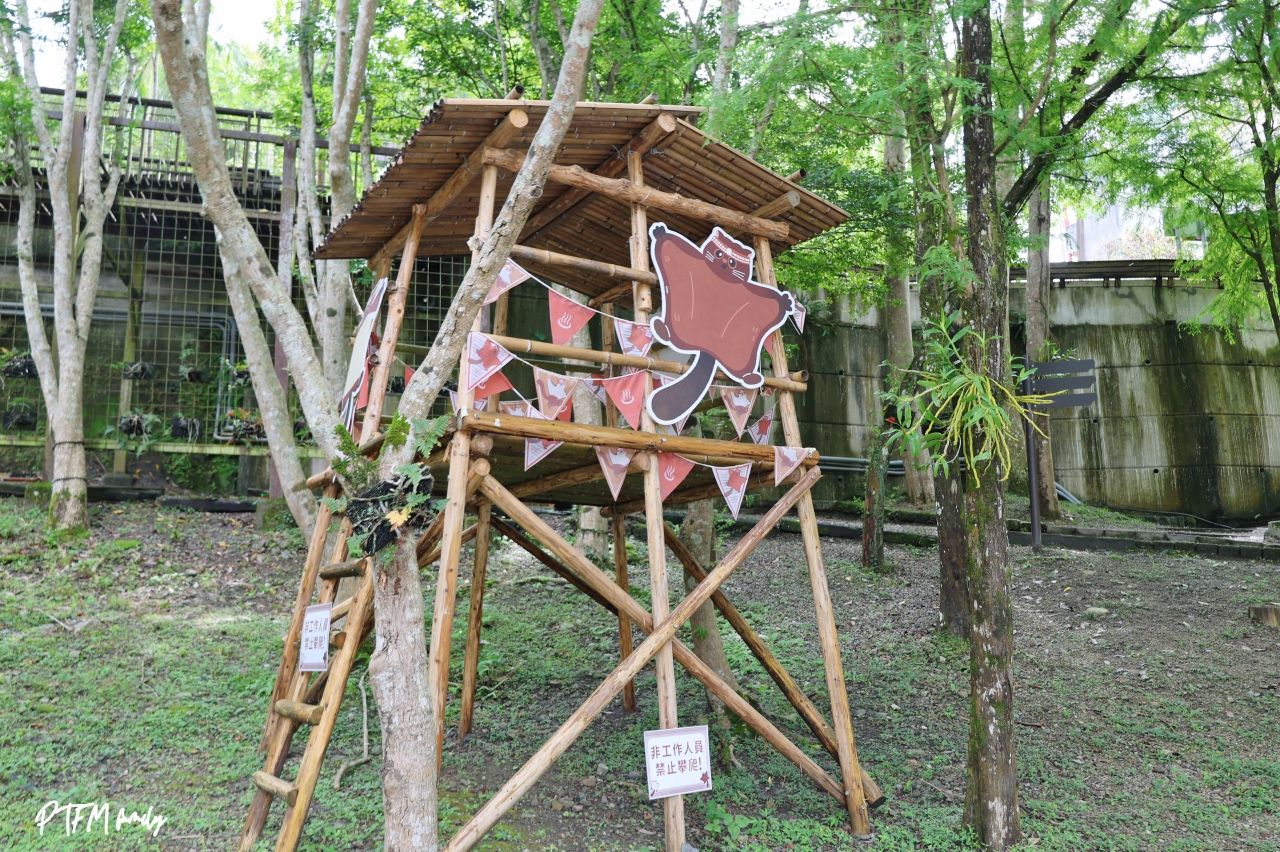 桃園親子景點｜宇內溪戲水區，50元銅板價合法開放的溪流玩水點還有野溪溫泉可以泡(有救生員和盥洗室)，桃園玩水一日遊推薦