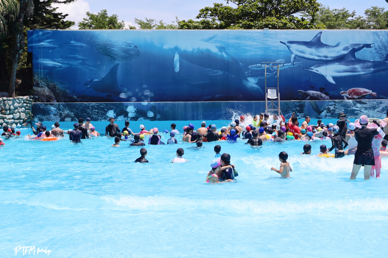 花蓮親子景點｜知卡宣綠森林親水公園，2026暑假開跑兒童免費入場、大人只要門票$50唱玩一整天，花蓮玩水推薦